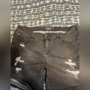 Torrid size 22